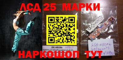 гидра Гай