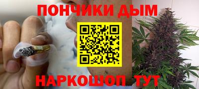 гидра Гай