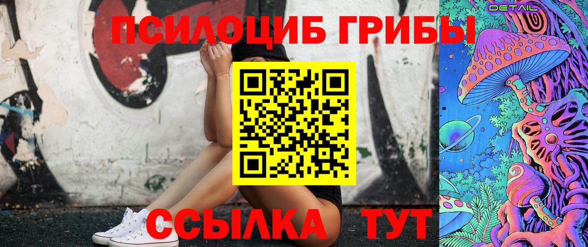 Псилоцибиновые грибы Psilocybine cubensis Всеволожск